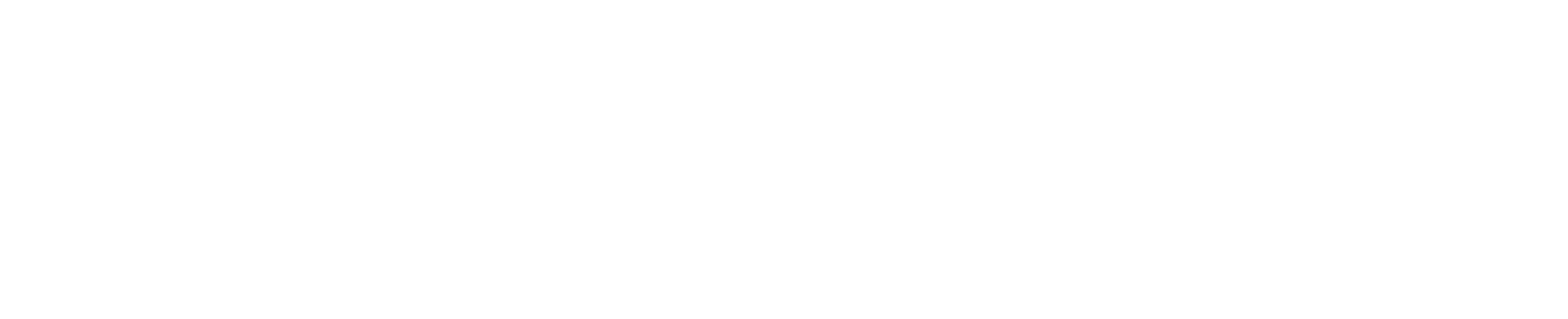 Velocity Rewards Store